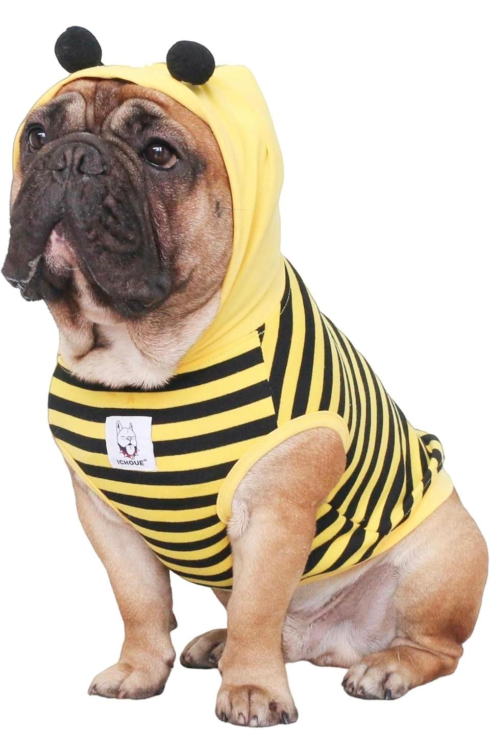 Bee Honeybee Bumblebee Costumes Hoodies Cosplay Shirts for Puppy - Black and Yellow