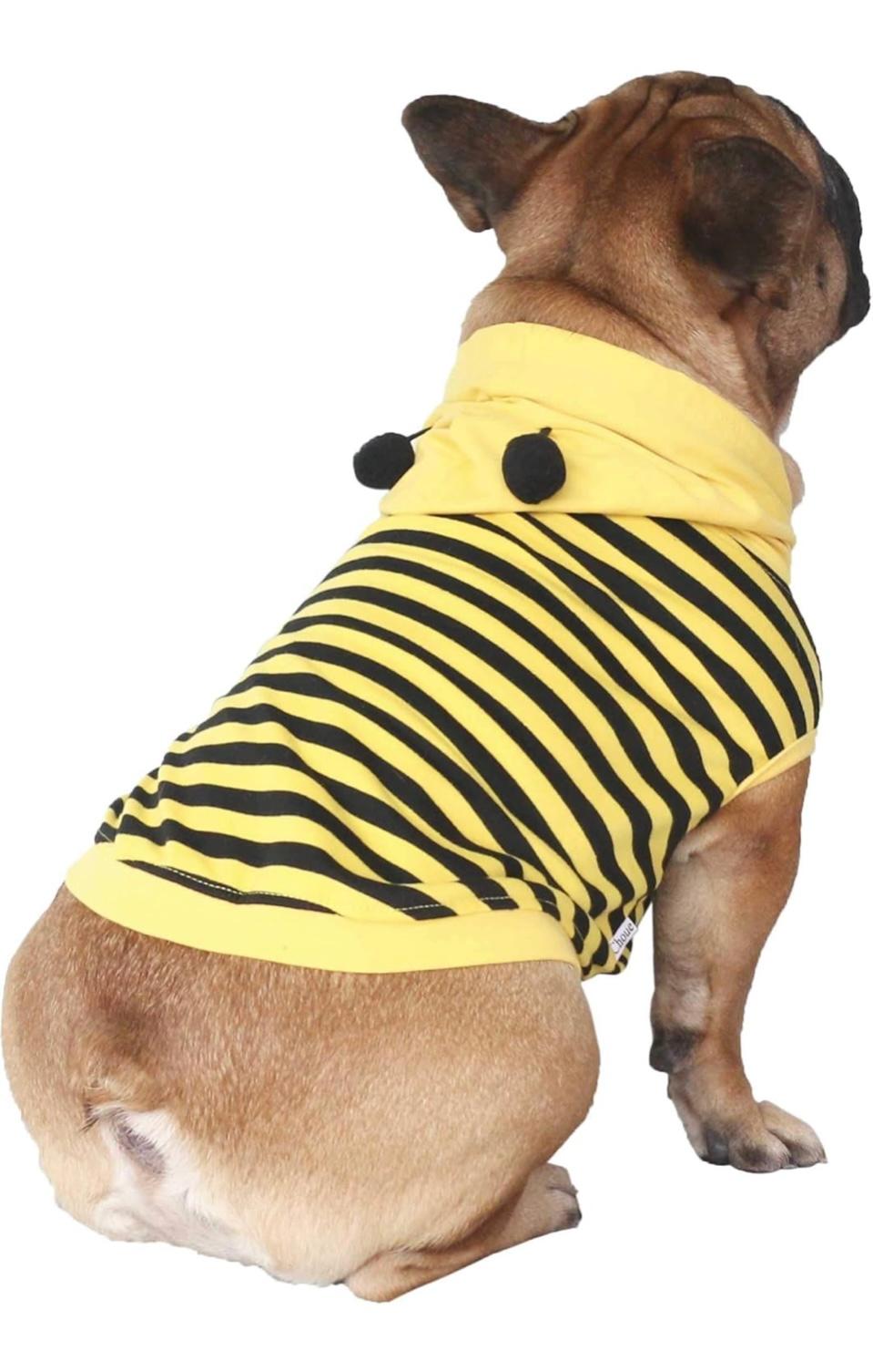 Bee Honeybee Bumblebee Costumes Hoodies Cosplay Shirts for Puppy - Black and Yellow