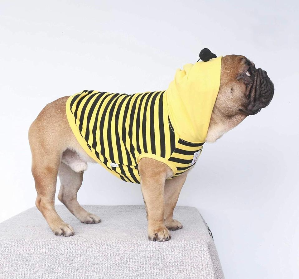 Bee Honeybee Bumblebee Costumes Hoodies Cosplay Shirts for Puppy - Black and Yellow